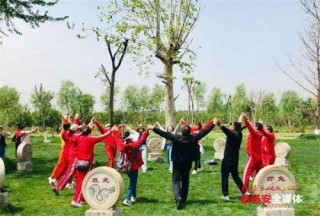城鄉公交打造特色旅遊品牌，賦能鄉村旅遊發展