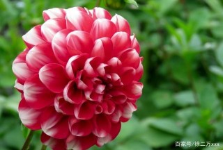 在經曆了四個星座的低谷之後，9月生活將會開始改善