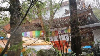 在東京近郊雨中漫步，探訪百年歷史深大寺，體驗日式悠閑的樂趣