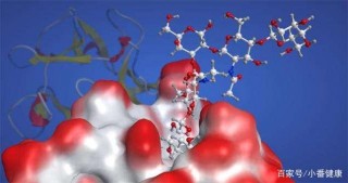 乙肝在研新藥糖生物學研究，羅馬尼亞科學家開發，抗HBV疫苗