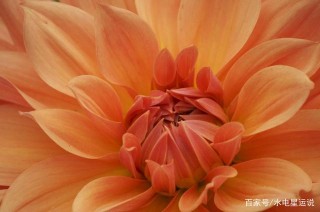 3月底，偶遇良緣，一往情深，4大星座廝守愛情，不再放開