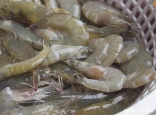 15元大蝦加一個洋蔥，做一個吃光盤底的美食，實在太香了