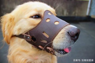 愛情世界很小也很大，不是所有真愛皆會擦肩，很難追上愛情的星座