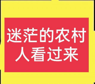 還在迷茫的農村人看過來，這五個項目值得考慮，前景很不錯！