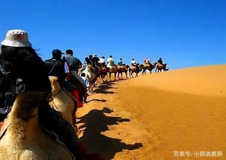 看到沙漠裏這樣的“小西瓜”，千萬別拿起來吃