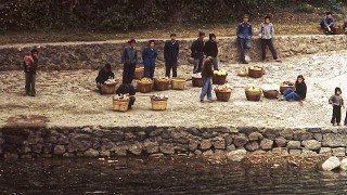 四十年前的桂林生活，昔日灕江兩岸