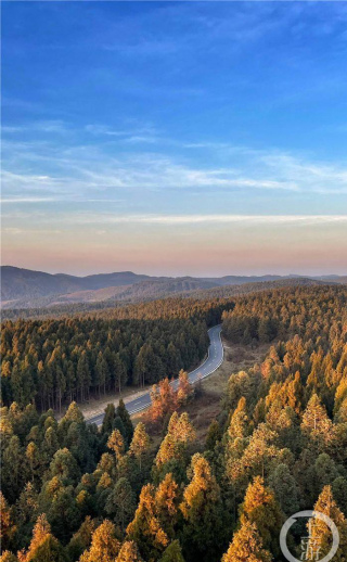 海外大V拍重慶：從41米高空俯瞰仙女山美景