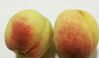 夏季吃桃子，補血美容還消腫，幫助腸道排毒素，但兩類需少吃