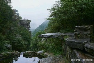 有素質又謙虛，為什麼職場進步並不快呢？