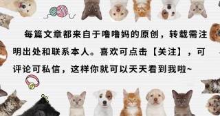 疫情期間，有寵物的家庭需要做哪些事情？