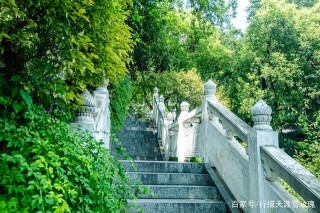 不要說嘉興沒有山，瓶山公園海拔15.8米，她歷史