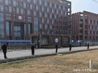 科學家在實驗室中創造了 Covid
