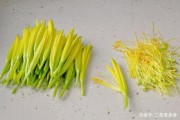 夏天，遇到此菜要多吃，8块钱一斤，做成凉拌菜，比