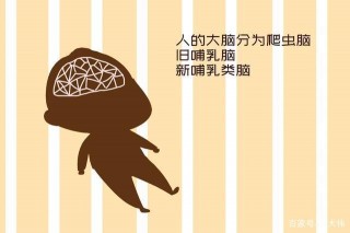 心理專家分析：孩子不聽話，父母的道理大錯特錯，跟生物學有關