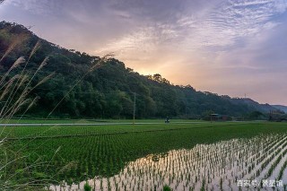 15天後，戀戀不舍，心有餘溫，3星座冰釋前嫌，攜手一世情深