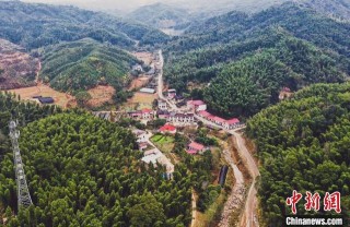 贛西小山村探尋小康路：“柴火”入盆變“黃金”