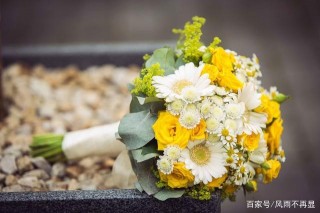 1月，緣分聚又散，一見鐘情，越愛越虐，3星座終於再次等來愛情！
