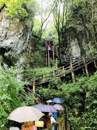 廣元最適合自駕游的地方，很多人沒有去過，景色美適合居家前往！