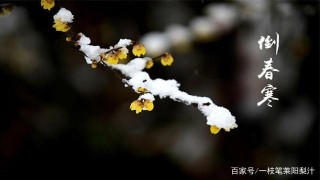今日雨水，春季養生時機要抓牢，做好這兩件事很關鍵