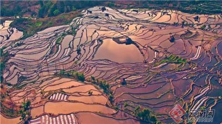 雲南元陽：創建“天然氧吧” 推進全域旅遊發展