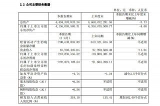 有多少人記得寒武紀？上半年巨虧超2億，人工智能真沒市場？