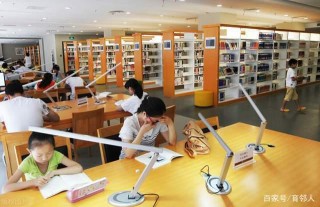 “補課”是社會文明成果積澱愈多與學校教育難調眾口的必然結果
