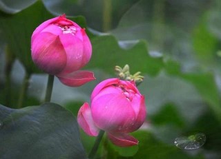 女人到了30歲，會更傾心於這幾種類型的男人，看看有你嗎