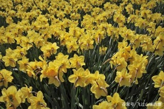 12月中旬，三大星座將會迎來人生驚喜，愛情事業雙豐收