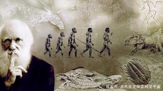 再探人類起源，八大觀點各持己見，科學界難以決斷