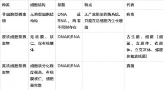 微生物學的基本概念和學科歷史