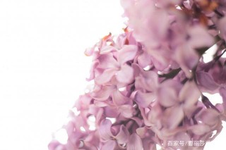 賺錢意識高，事業順橫財旺，但沒遇真愛，寧可孤獨的星座