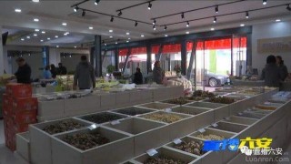 “雙十一”還沒到，六安電商和快遞業先火了
