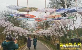 新洲紫薇都市田園將申報5A景區！
