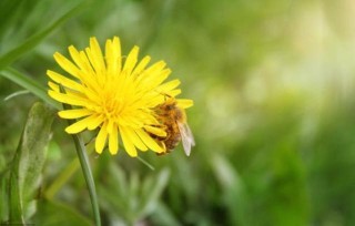 添喜添財又添福，3生肖接大喜、迎大財，天天賺錢忙，睡著都笑醒