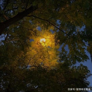 喜歡胡思亂想的三個星座，他們非常敏感，在感情裏容易受傷害