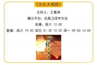文化大觀園——訪琴