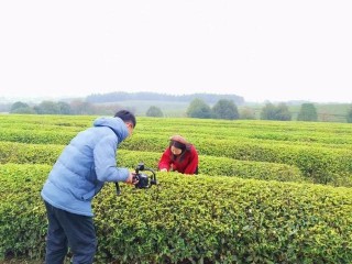 達人走進鳳凰溝景區，分享美食美景~