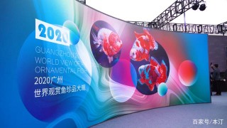 「精彩回顧」2020廣州世界觀賞魚珍品大觀完美落幕！