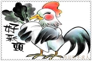 2019年 生肖雞運勢分析（波折區第一名）