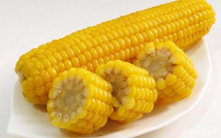 玉米被稱為“長壽食物”，靠什麼走上歷史舞台，玉米是轉基因嗎？