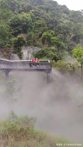 深圳龍華區大浪綠道，植被豐富，風景秀麗，過年旅遊的好去處！