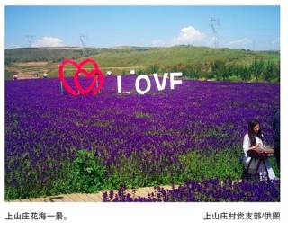 優秀駐村第一書記特別報道⑩｜趙瑜：上山莊的旅遊脫貧路