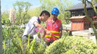 花博文化園7月下旬向遊客開放，高溫下花兒一天“洗澡”兩次