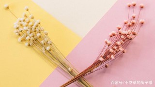 12月上旬，往事隨風，烏雲散盡，3星座重新振作，迎接新的戀情