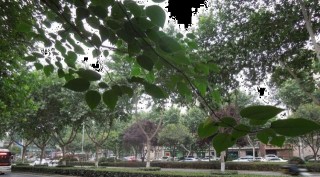 古絲綢之路的起點，歷史厚重的文化城市，來了就不想走的地方