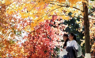 這所被譽為“紅土高原上的教師搖籃”的高校，竟是雲南的？