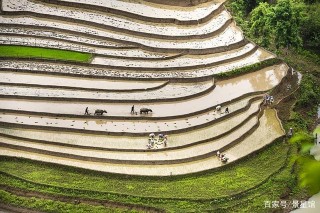 兩周後，執念太深，為愛沉淪，3星座苦等舊愛，攜手愛到地老天荒