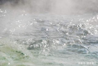 看個繪本就能學好生物？國內頂尖漫畫團隊讓它變成可能