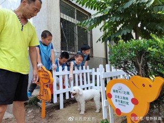 寵物貓狗也有了固定廁所？
