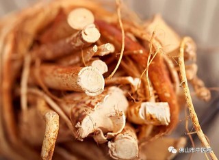「名醫談藥」五指毛桃治骨傷竟有這功效！專家教你妙用（含食療推薦）